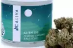 Alien OG-Premium