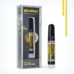 Pineapple Sunset | Sauce Cartridge